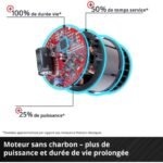 Einhell Professional Débroussailleuse sans fil GP-BC 36/430 Li BL-Solo PXC (36V, Brushless, largeur coupe 25,5 et 43 cm, Harnais confort) Livré sans Batterie ni Chargeur – Image 4